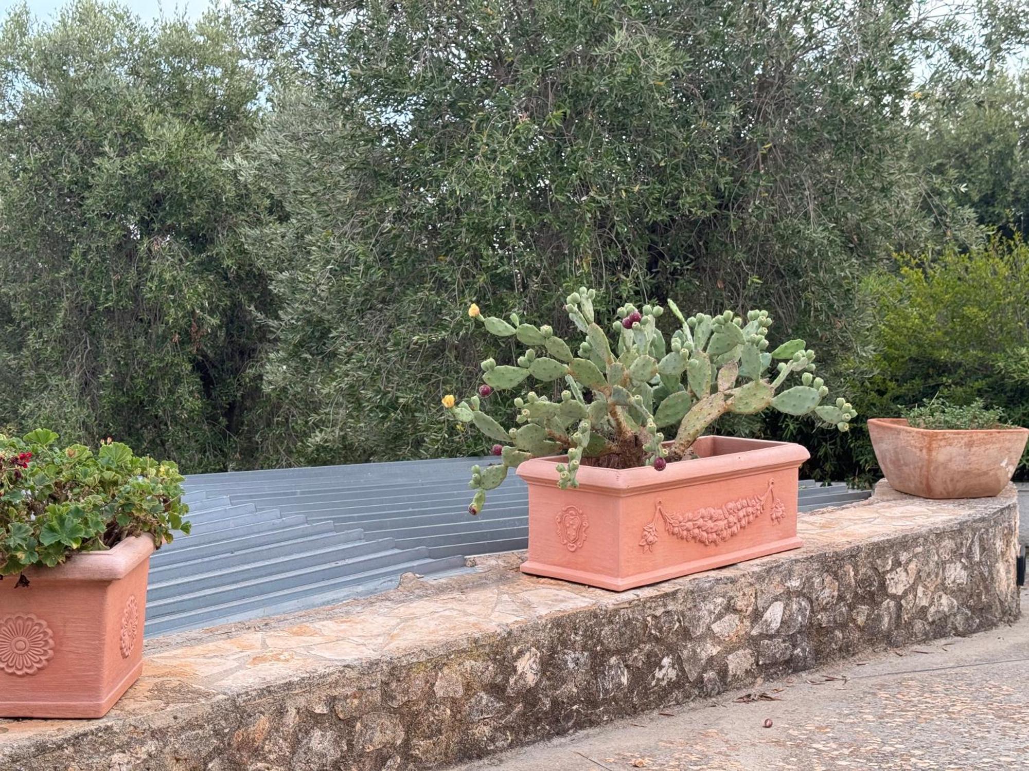 Home A&G Contrada Fumarola Ostuni Exteriör bild